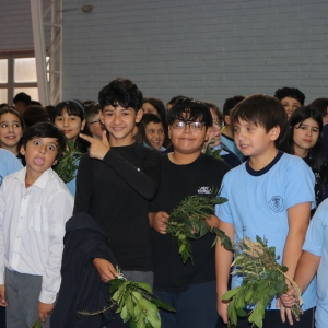 Celebración de Ramos